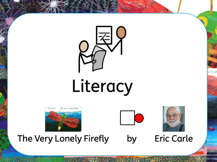 6 PMLD Literacy Lessons - Night and Day