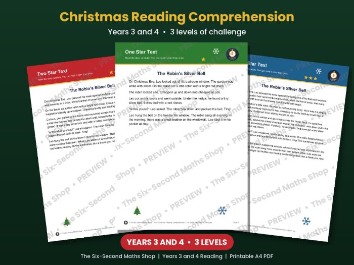Year 3 and 4 Christmas Reading Comprehension | 3 Levels, Questions and Answers