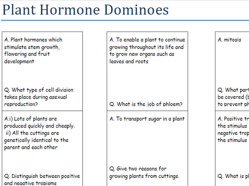 Plant Hormone Dominoes (with answers)