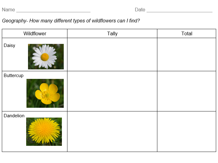 Wildflower Tally Charts- Year 1/2 Geography/Science Activity Sheet