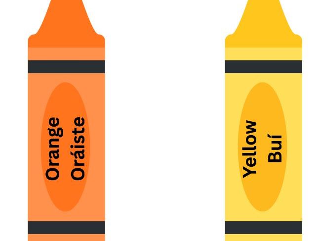 Colours Classroom Display