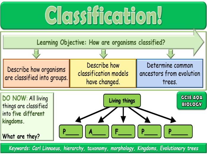 Classification AQA GCSE (9-1) Biology