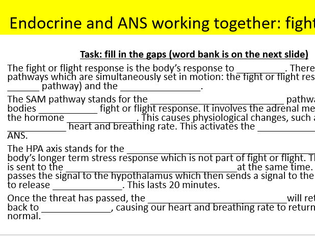 *New spec* AQA psychology nervous and endocrine systems