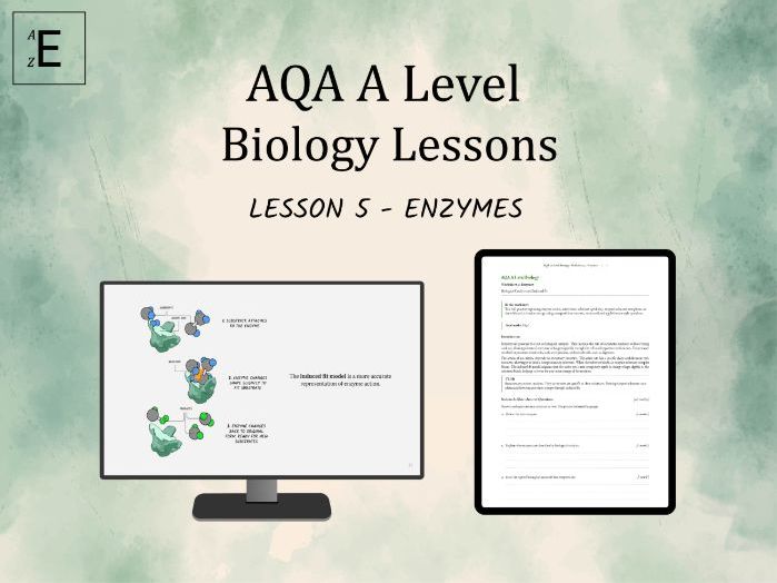 AQA A Level Biology Lesson 5 - Enzymes