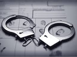 Criminology Unit 3 Research Task