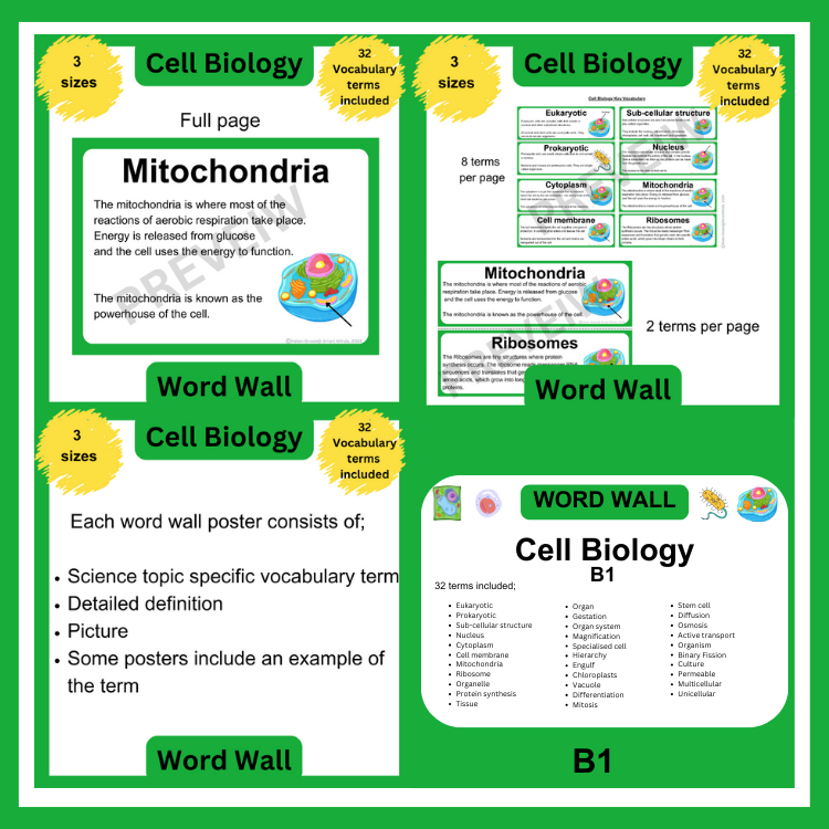 CELL BIOLOGY WORD WALL - SCIENCE CLASSROOM DISPLAY *PRINTABLE* B1 TOPIC ...