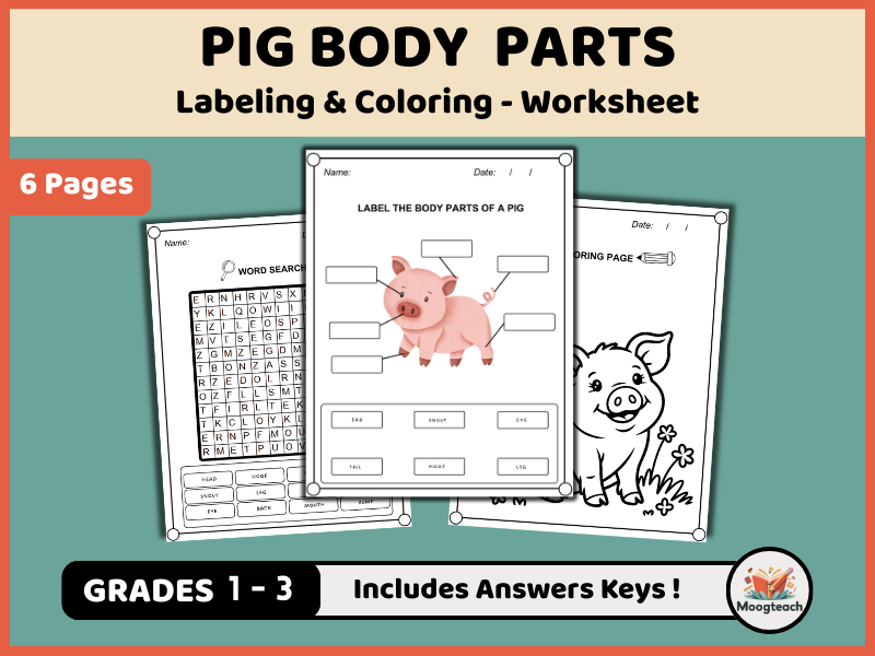 Pig Body Parts / Animal Anatomy / Labeling / Coloring Worksheet / Farm Animals / EYFS / KS1
