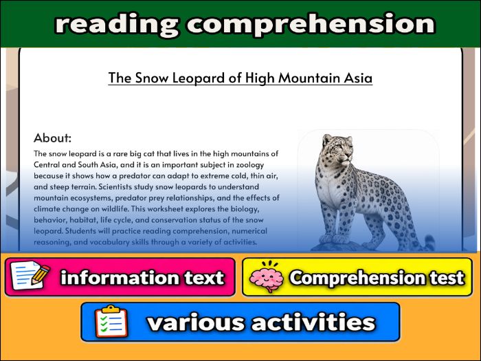 The Snow Leopard of High Mountain Asia - zoology & Activities