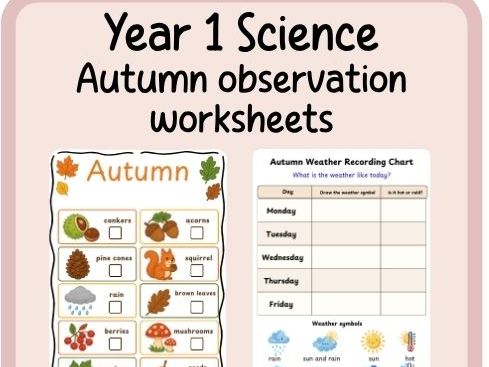 Year 1 Science Autumn observations