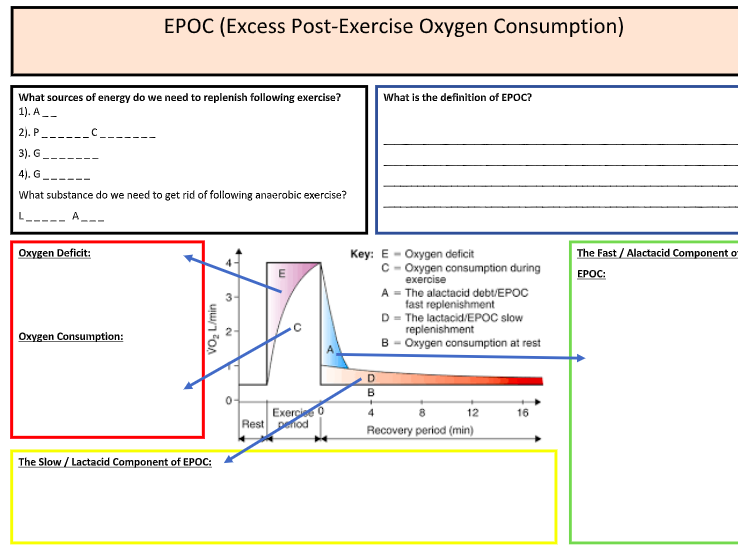 A-Level PE: Recovery / EPOC Summary Sheet