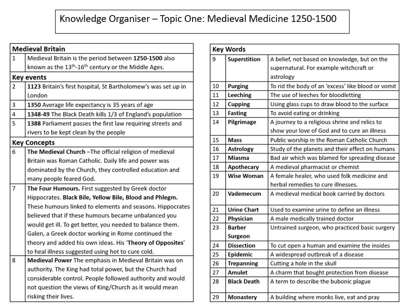 Edexcel GCSE History: Medicine structures and knowledge