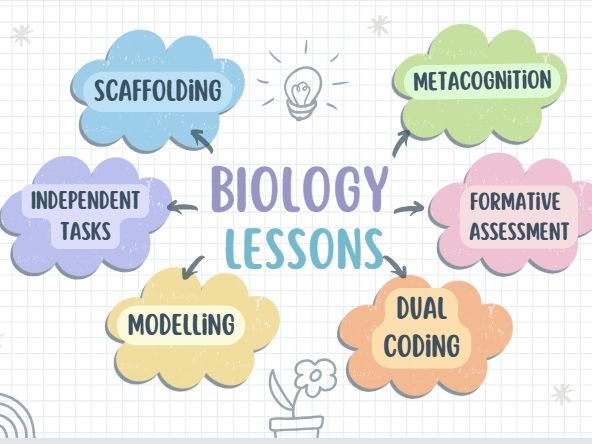 Stem cells IGCSE/GCSE