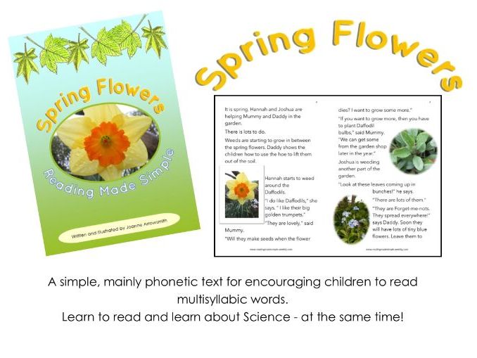 KS1 reading book Free download Garden Flowers Teaching Resources