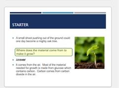 KS3 Food & Digestion Presentation
