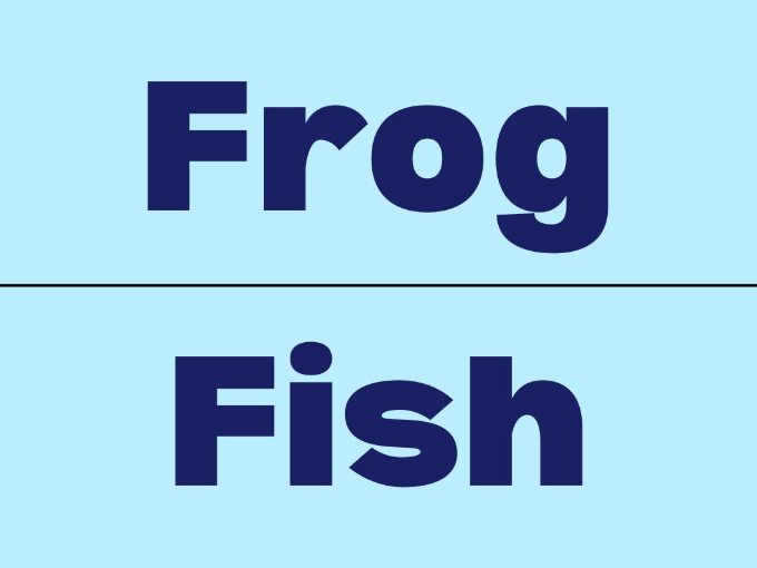 Simple Phonetics Letter F Alphabet Flashcards
