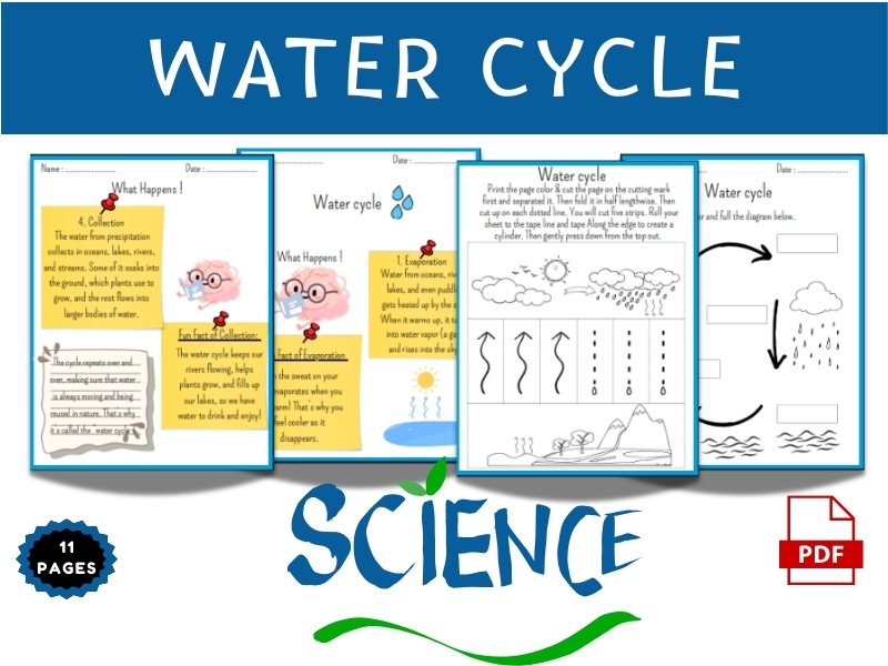 Water Cycle Science Worksheets