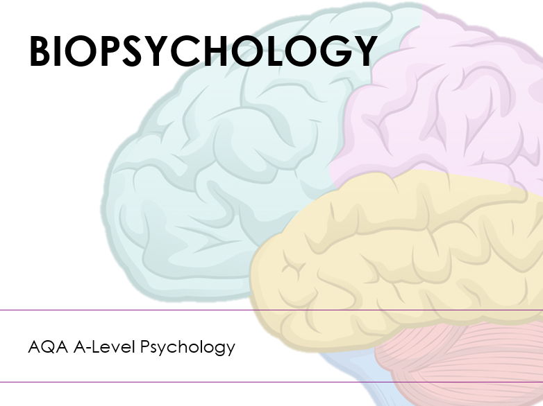 AQA A-Level Psychology: Biopsychology (Full Unit of Work)