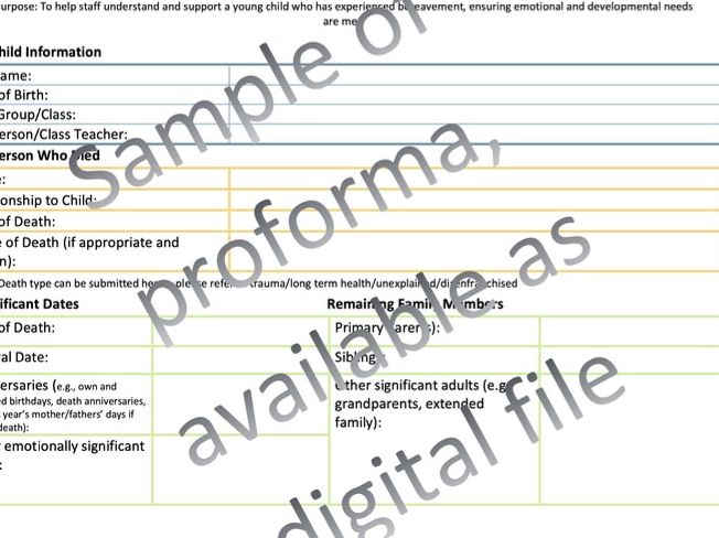 Pupil Bereavement Passport - KS3