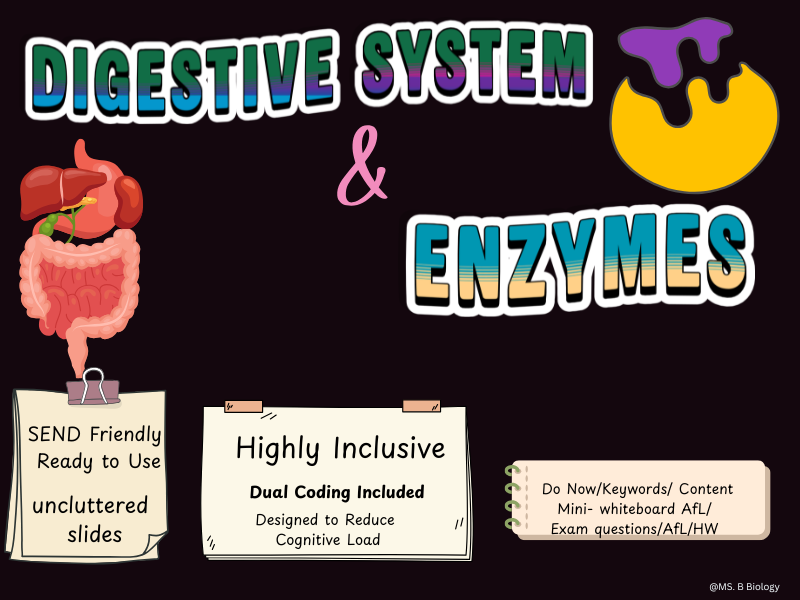 GCSE Biology Digestive System & Enzymes Lesson | Digestion, Absorption, Enzymes & Villi