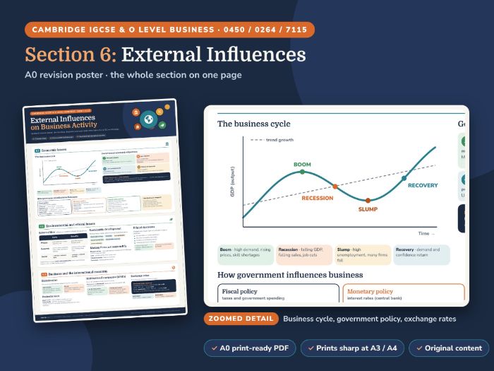 IGCSE Business Section 6 Revision Poster