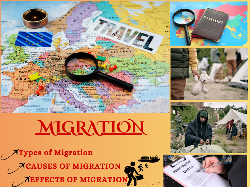 Migration and Its Types: Reading Comprehension – Fun, Interactive & Ready-to-Print