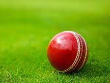 Cricket