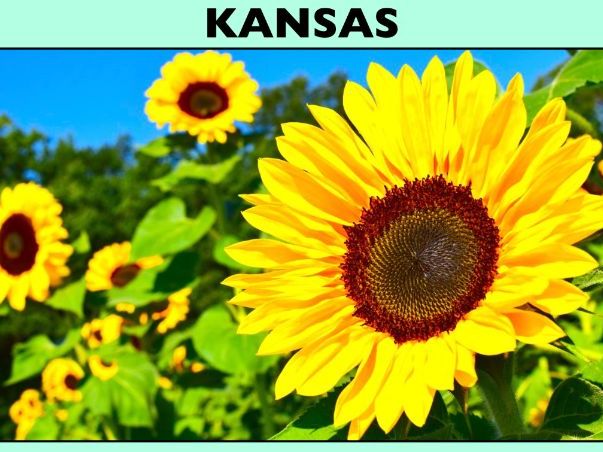 KANSAS: The Ultimate PowerPoint/Keynote