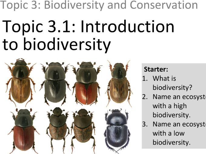 ESS 3.1 Introduction to Biodiversity