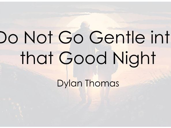 'Do Not Go Gentle Into That Good Night' - Dylan Thomas