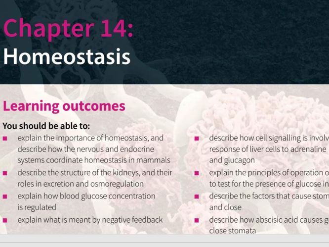 Homeostasis [Biology 9700]