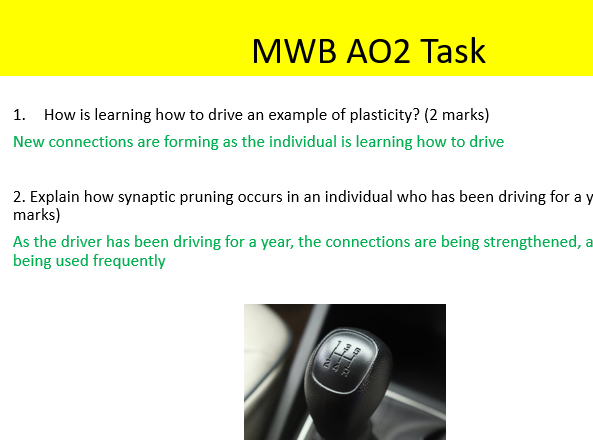 AQA Psychology plasticity and functional recovery biopsychology