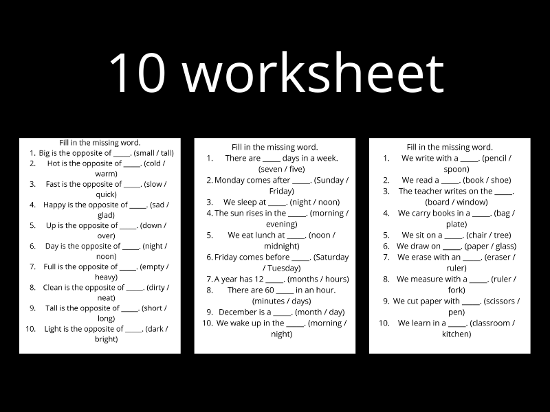 Early Years Vocabulary & Logic Builders (10-Page Bundle)