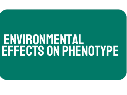 AP Biology Unit 5: Environmental Effects on Phenotype