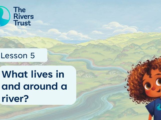What lives in a river? KS2 Lesson plan, slides and PDF
