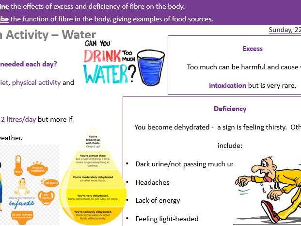 Fibre and Water