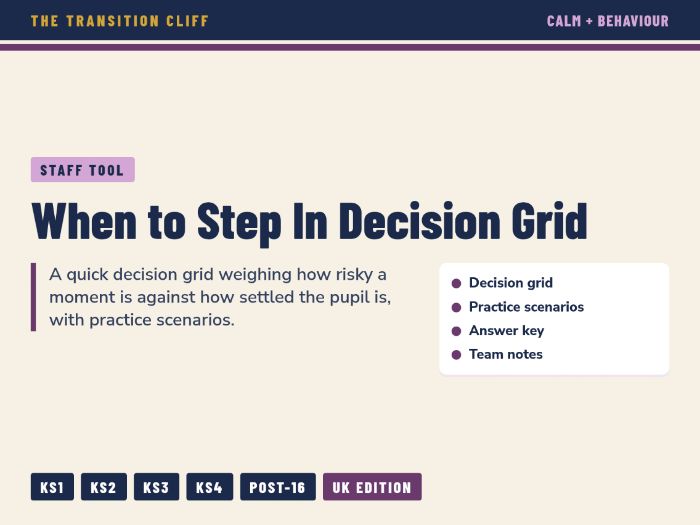 When to Step In: A Decision Grid for Staff Responding to Behaviour in SEND Settings