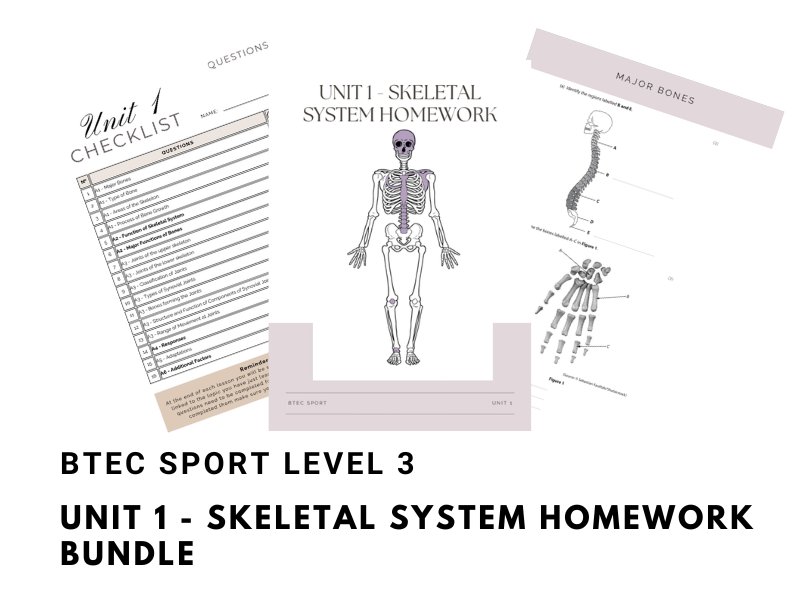BTEC Sport Level 3 - Unit 1 Skeletal System