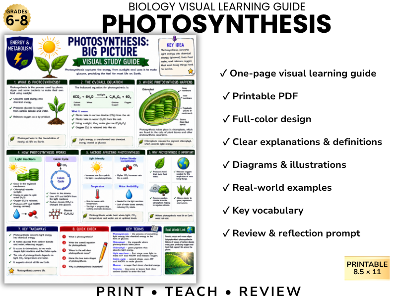 PHOTOSYNTHESIS | Biology Visual Learning Guide | Grade 8 & Middle School Science