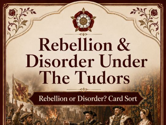 Rebellion & Disorder Under The Tudors - Rebellion or Disorder? Card Sort.