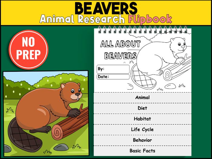 Beaver Research Flipbook Activity | Wetland Habitat Animal Report | Forest Animals