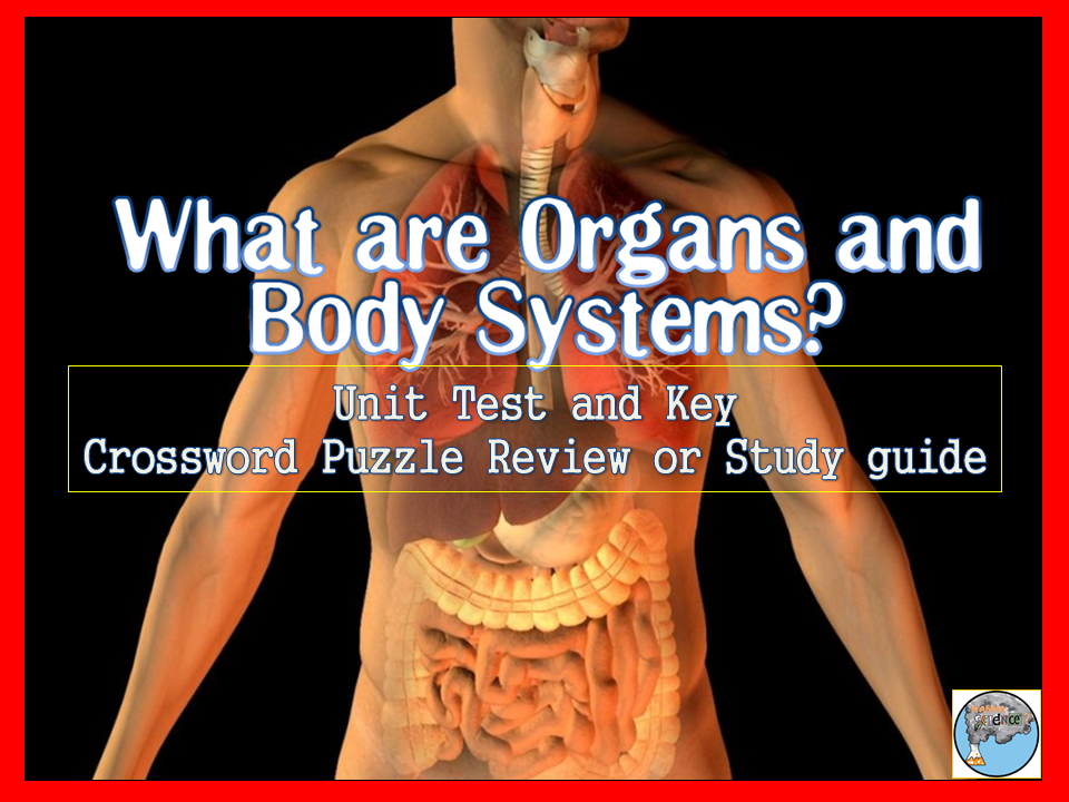 Human Body (Organ and Organ Function)Test and Review Cross Word Puzzle