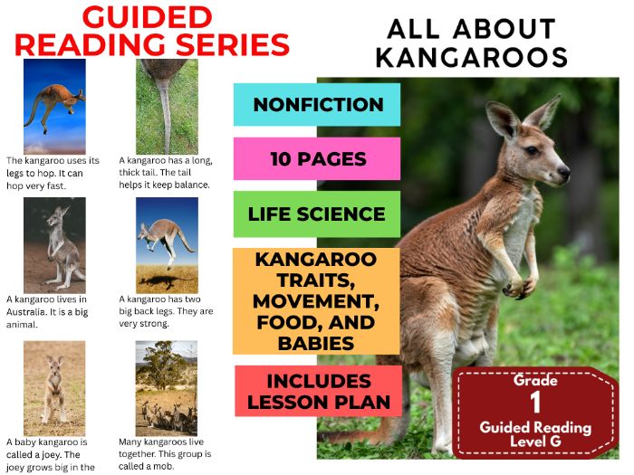All About Kangaroos: Guided Reading Level G with Lesson Plan