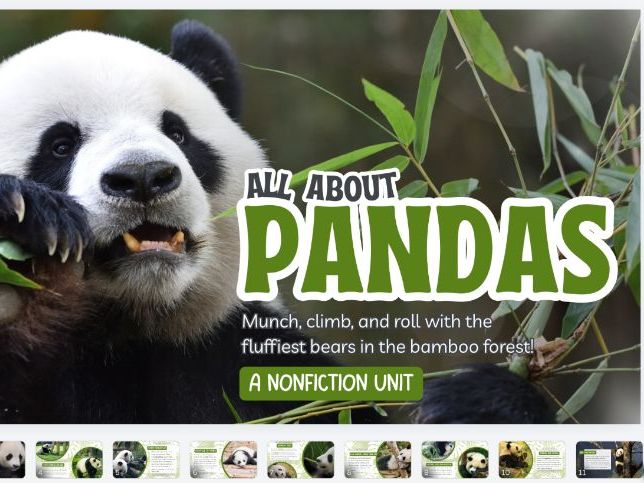 All About Pandas Comprehension Worksheet