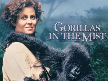 'Gorillas in the Mist' film Media English SOW
