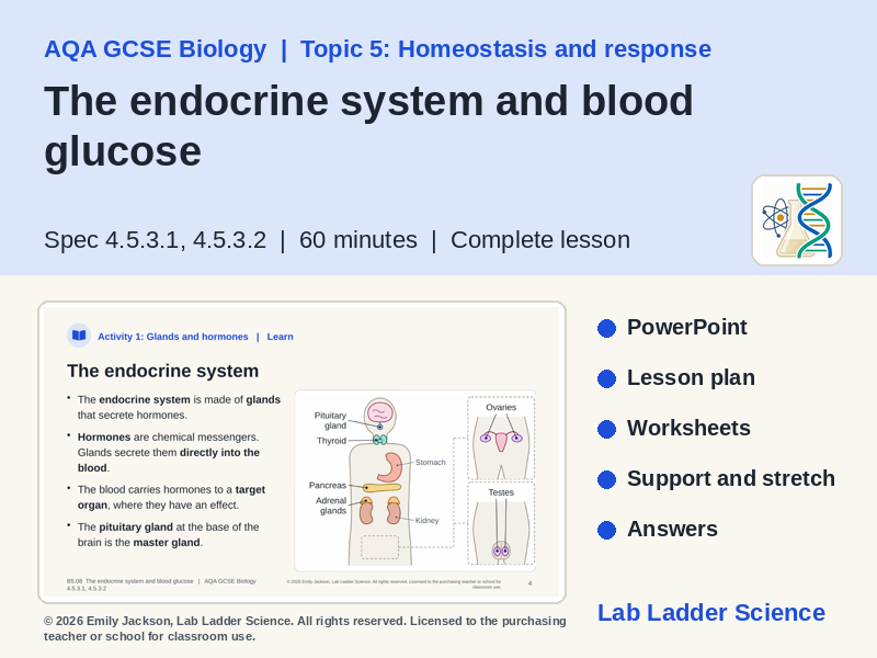 B5-08 Endocrine System & Insulin: AQA GCSE Biology
