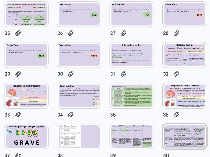 Endocrine system + Fight or Flight Response - Biopsychology NEW AQA 2025 Specification