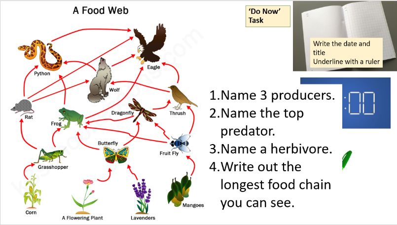 KS3 Science Starter Questions