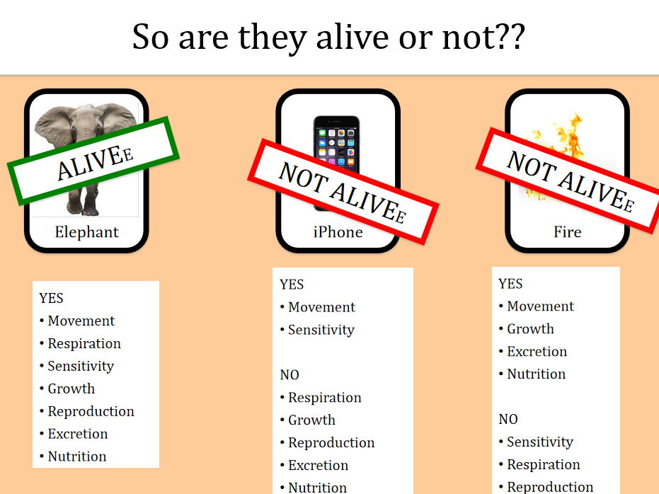 Characteristics of Living Organisms [ Identifying Organisms]