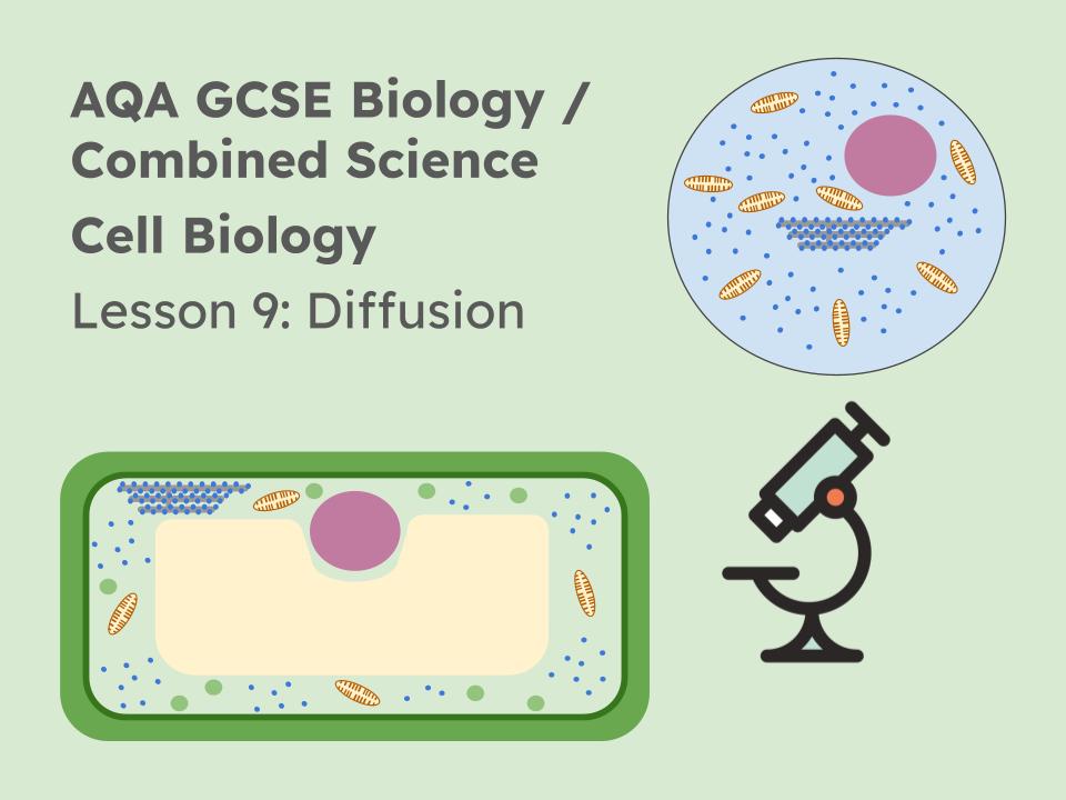 Lesson 9: Diffusion