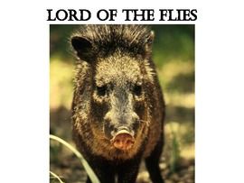 Lord Of the Flies Group Project